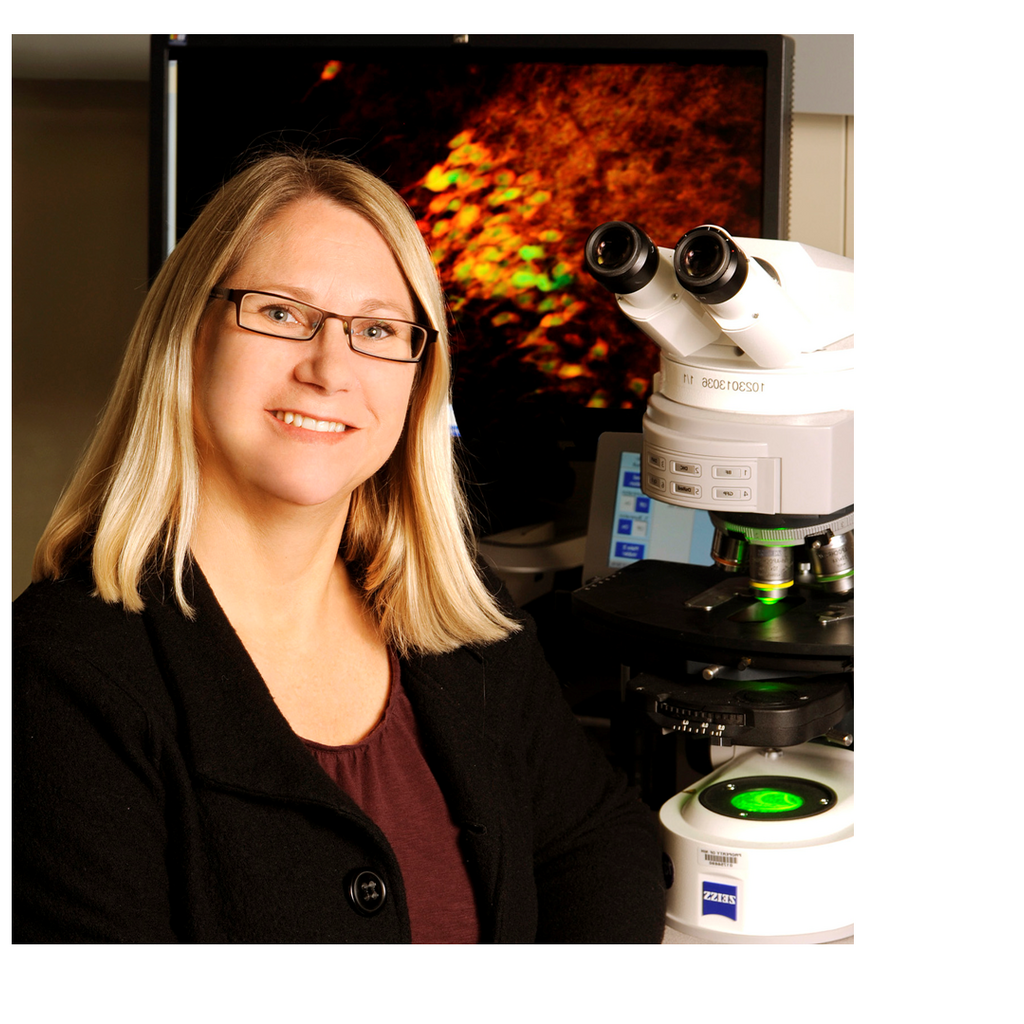 Neuroscience & Pharmacology Seminar: Serena Dudek, PhD promotional image